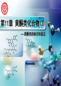 天然药化-中国药科11-3