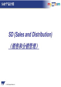 SAP_SD模块初阶培训课程