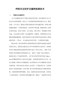 网络安全防护及漏洞检测技术