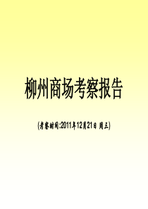 柳州商场考察报告12.27