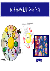 奈米药物生医分析介绍