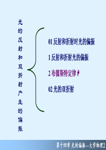 14_03_光的反射和双折射产生的偏振