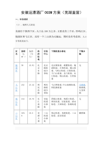 安徽运漕酒厂OGSM方案