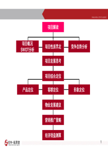 安徽淮北制药厂地块项目前期策划报告_127PPT