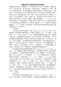 安徽省常见中药材混乱品种的鉴别(doc34)(1)