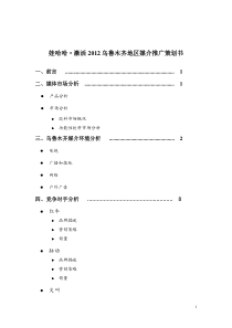 娃哈哈激活乌鲁木齐市媒介策划