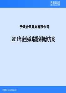 宁波金田置业有限公司企业战略规划初步方案