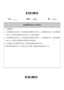 实例国药集团药业股份有限公司-业务执行层绩效计划书（很全面）（40页）（DOC40页）