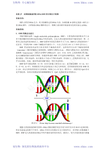 实验33生物芯片的点样制备及检测核酸多态性