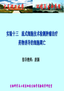 实验十三流式细胞技术检测肿瘤治疗药物诱导的细胞凋