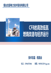 CFB的高效低氮燃烧改造与经济运行20160927