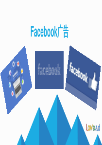 Facebook广告分析