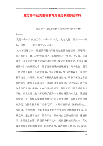 党支部书记先进性教育党性分析(剖析)材料_0