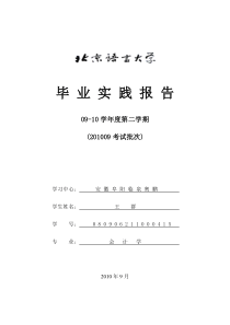 临泉县沂鸿皮件有限公司会计信息化实践报告