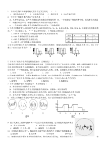 relative clause关系从句