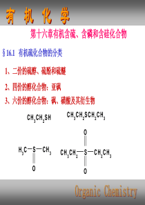 16有机含硫、含磷和含硅化合物