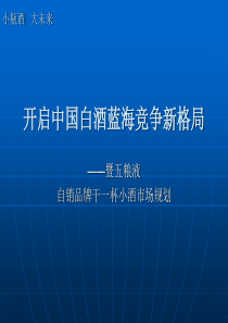 小瓶酒大未来---开启中国白酒蓝海竞争新格局