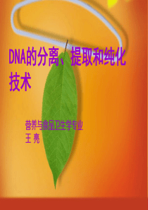 DNA的分离、提取和纯化技术-WL