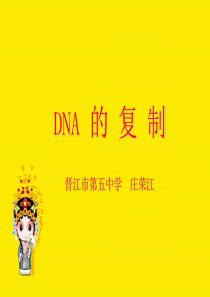 DNA的复制(高中)