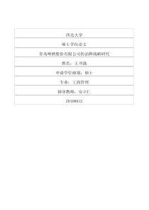 岛啤酒股份有限公司的品牌战略研究