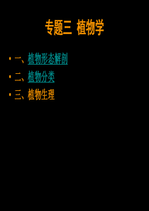 生物奥赛3专题三 植物学