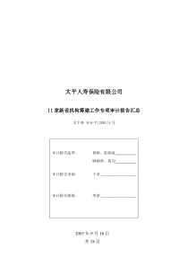 11家新设机构筹建期间专项审计报告汇总