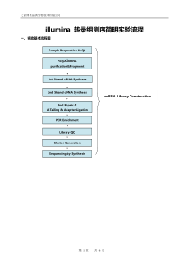 illumina-转录组测序简明实验流程(PE-oligodT-NEB)