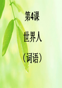 世界人(词语)