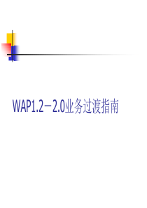 WAP12-20业务过渡指南.