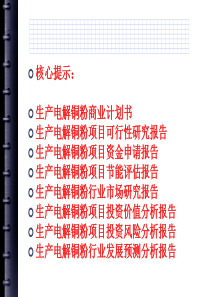 生产电解铜粉项目可行性研究报告