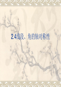 2.4线段、角的轴对称性(1)课件(苏科版八年级上)