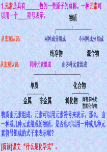 2.5  表示物质组成的化学式资料