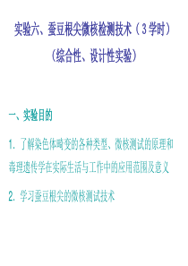 实验六、蚕豆根尖微核检测技术