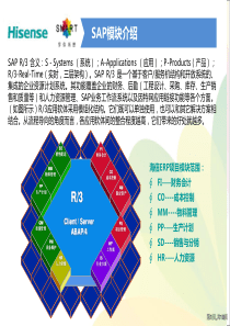 新人常用SAP查询命令培训