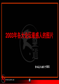 2003年各大论坛最感人的图片