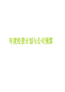 年度经营计划与公司预算