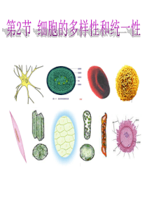第二节 细胞的多样性和统一性