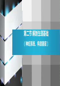 第二节 言语相关解剖生理基础(1)