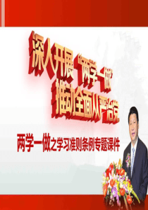 两学一做学习教育学习中国共产党廉洁自律准则中国共产党纪律处分条例党课