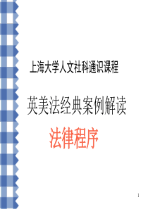 ppt6法律程序分析