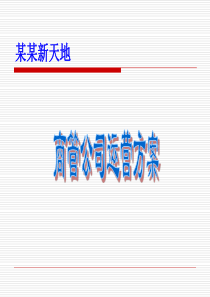 商业经营管理公司运营方案