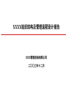 北大纵横-某工业有限公司组织结构及管理流程设计报告