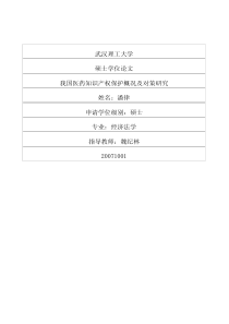 我国医药知识产权保护概况及对策研究