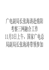 广电副局长张海涛赴绵阳考察三网融合工作