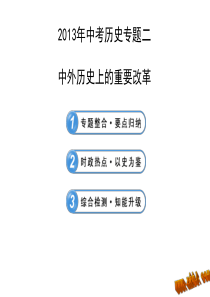 2013年中考历史专题复习课件  中外历史上的重要改革