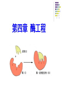 食品生物技术导论 酶工程