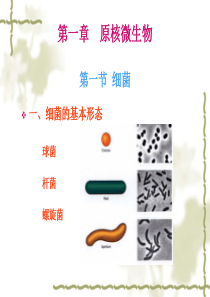 食品微生物学第1章