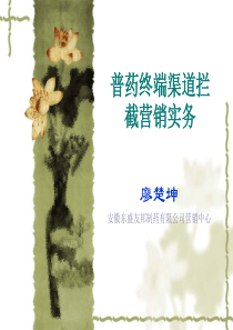 普药终端渠道拦截营销实务