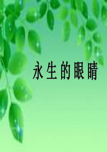 3永生的眼睛