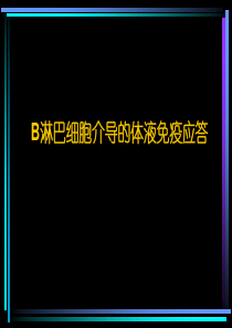 65B淋巴细胞介导的体液免疫应答